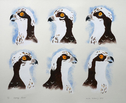 Osprey Faces 6/7 - Mick Manning - St. Jude's Prints