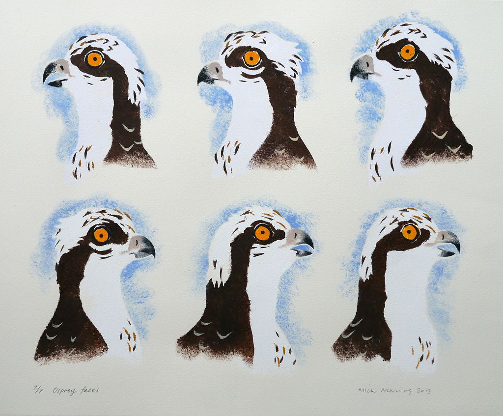 Osprey Faces 7/7 - Mick Manning - St. Jude's Prints