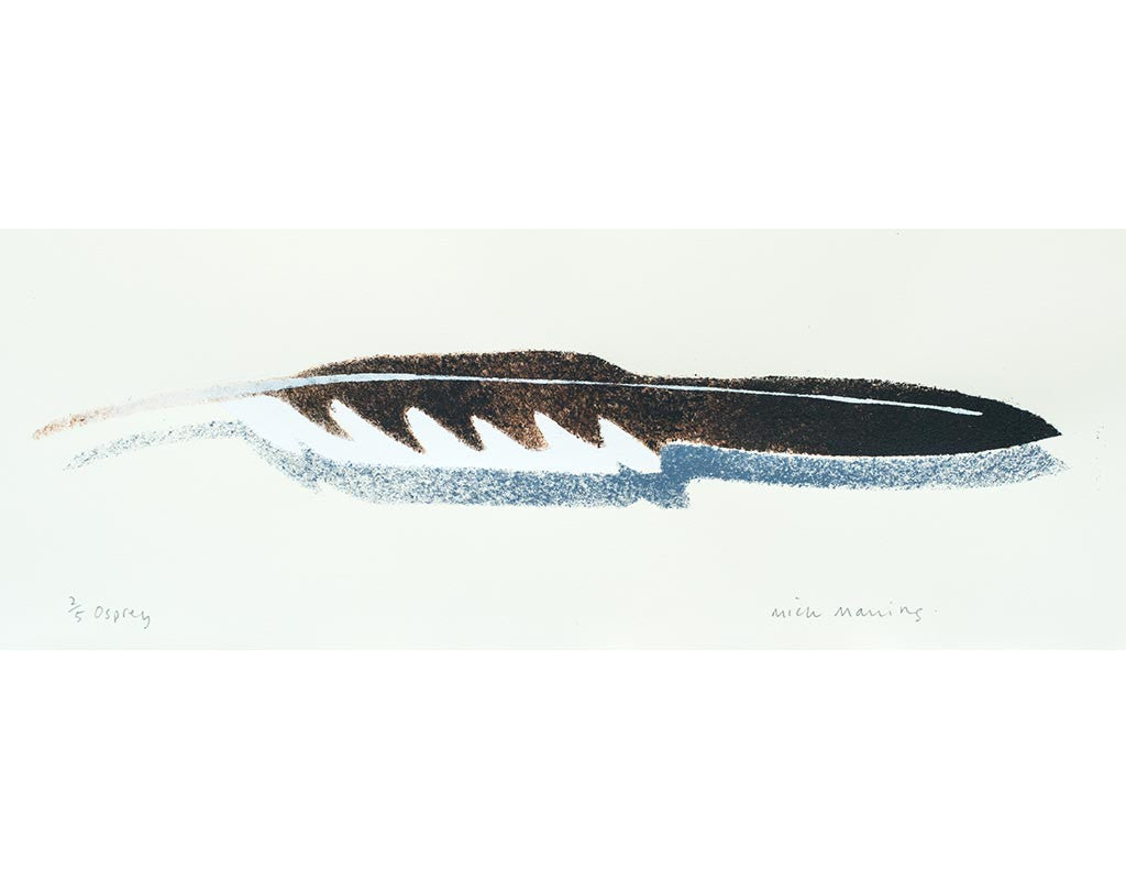 Osprey Feather 2/5 - Mick Manning - St. Jude's Prints