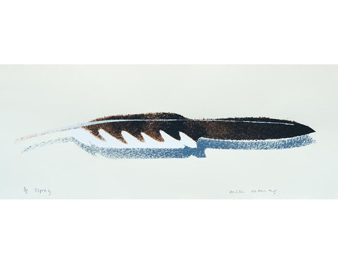 Osprey Feather 3/5 - Mick Manning - St. Jude's Prints