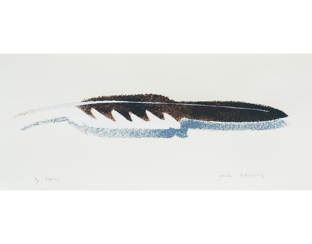 Osprey Feather 4/5 - Mick Manning - St. Jude's Prints