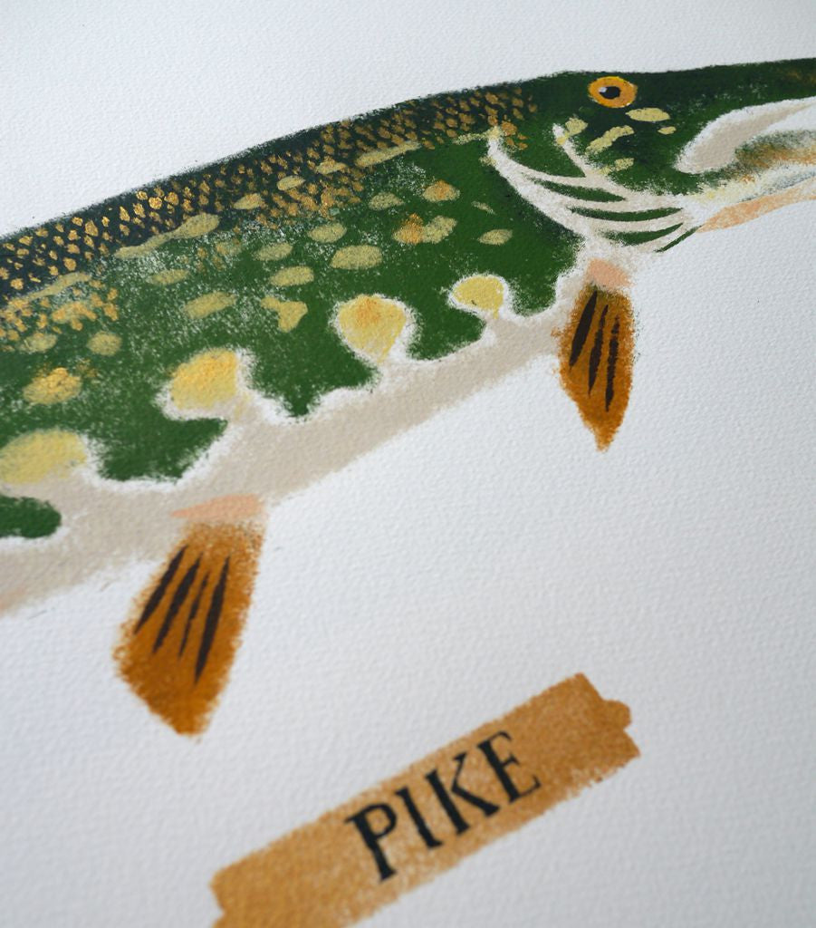 Pike 8/9 - Mick Manning - St. Jude's Prints
