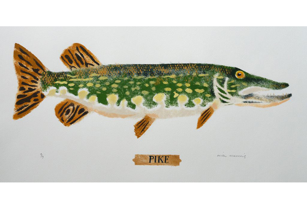 Pike 9/9 - Mick Manning - St. Jude's Prints
