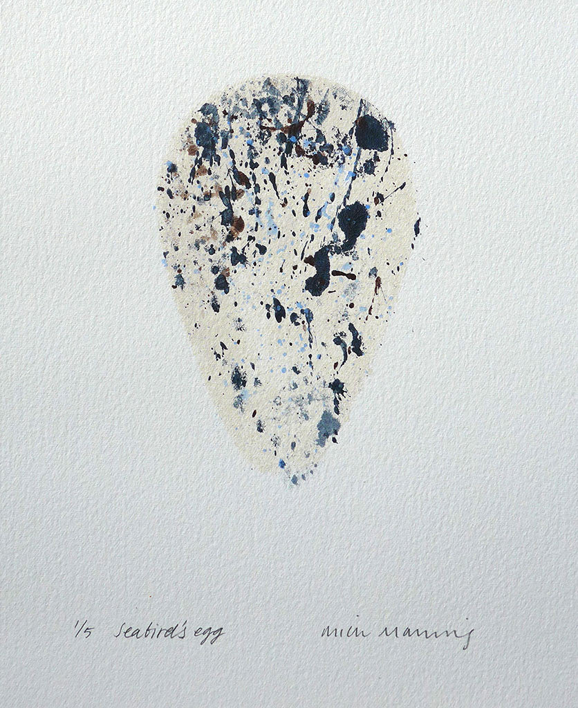 Seabird's Egg 1/5 - Mick Manning - St. Jude's Prints