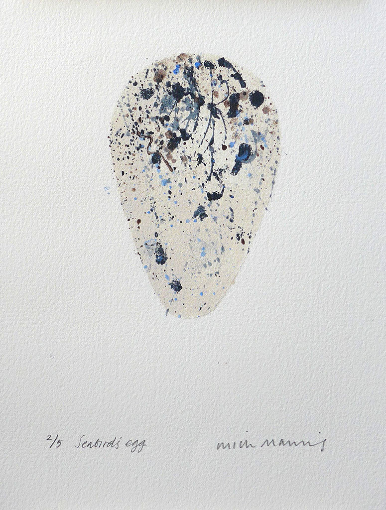 Seabird's Egg 2/5 - Mick Manning - St. Jude's Prints