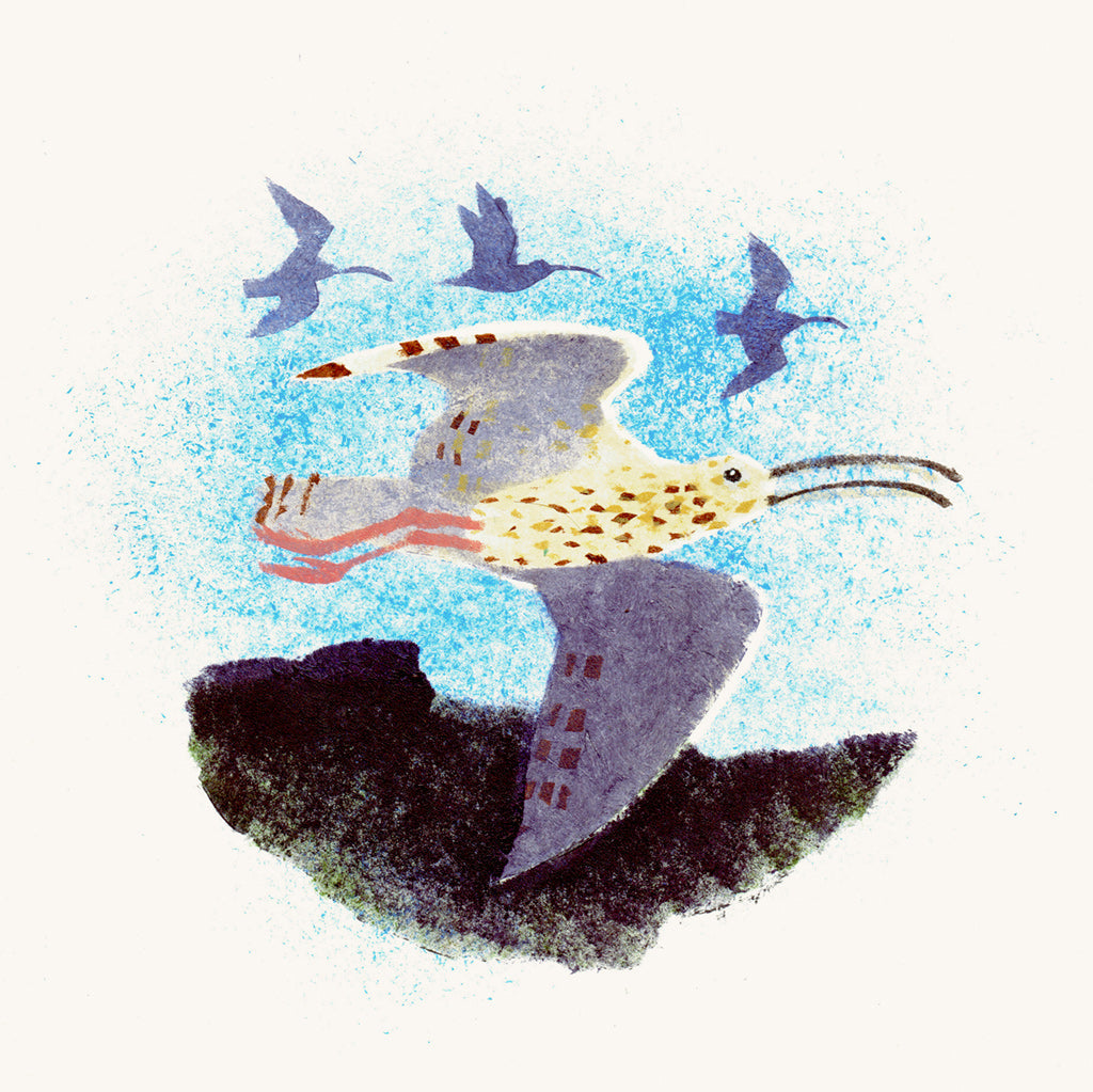 Spring Curlews - Mick Manning - St. Jude's Prints