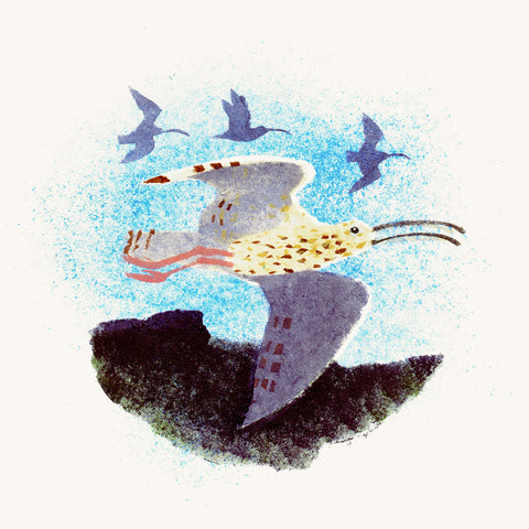 Spring Curlews - Mick Manning - St. Jude's Prints