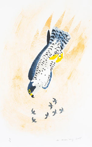 Stooping Peregrine 6/6 - Mick Manning - St. Jude's Prints