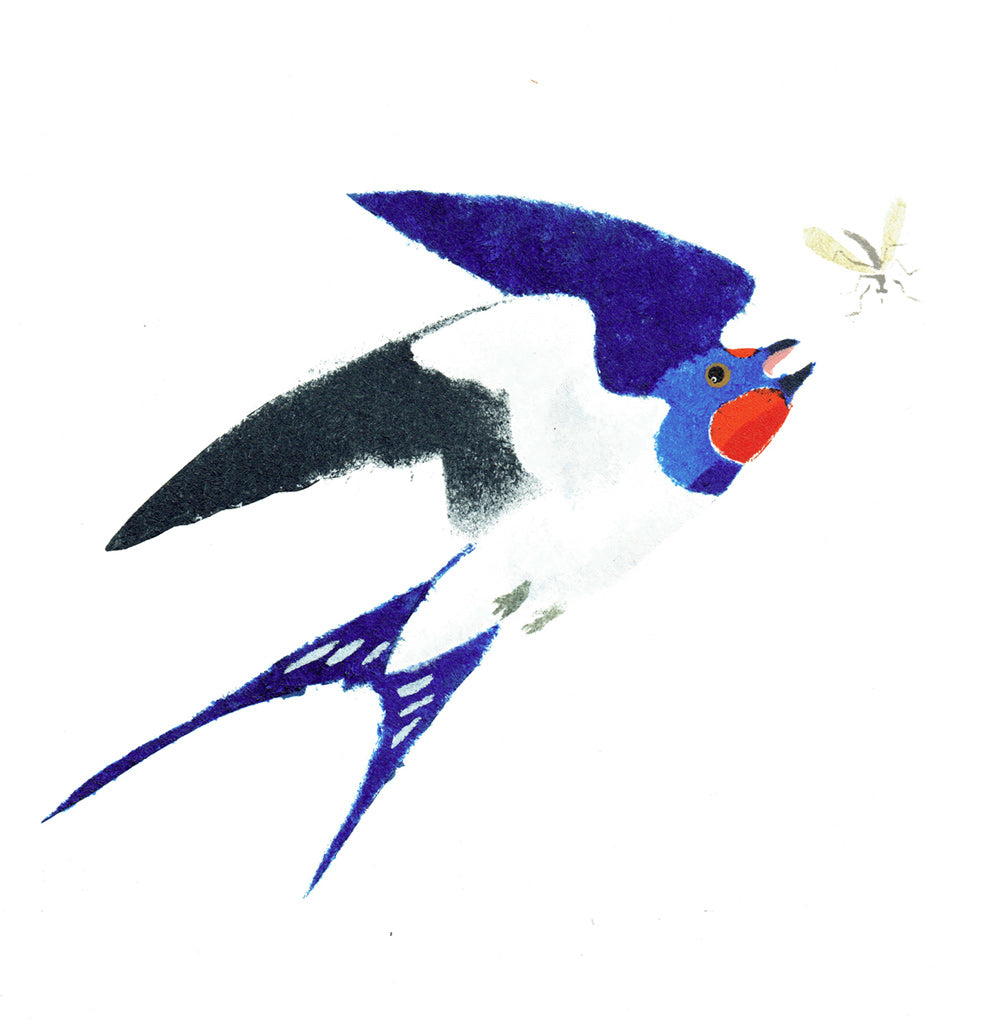 Swallow and Midge - Mick Manning - St. Jude's Prints