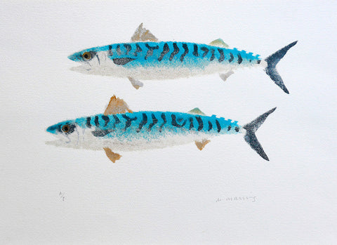 Two Mackerel (Artist's Proof) - Mick Manning - St. Jude's Prints