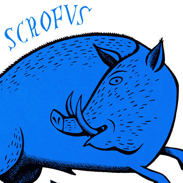 Blue Boar - Paul Bommer - St. Jude's Prints