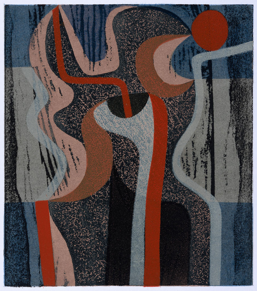 Night Flower Form - Peter Green - St. Jude's Prints