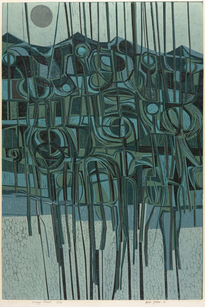 Peter Green - The Workmanship of Uncertainty - Peter Green - St. Jude's Prints