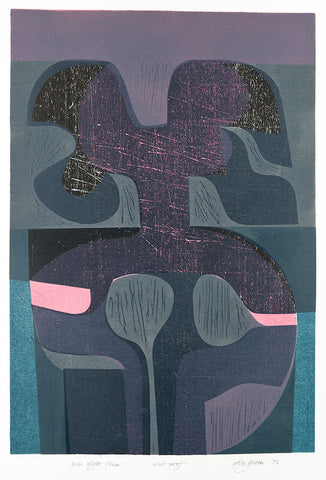 Solar Night Form - Peter Green - St. Jude's Prints