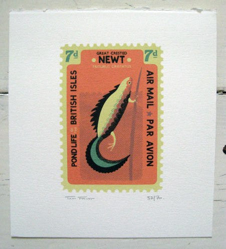 Small Newt Stamp - Tom Frost - St. Jude's Prints